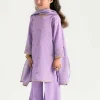 3 Piece - Embroidered Suit - PMD25-18 D - Image 2